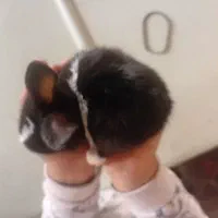 خرگوش خیلی ناز