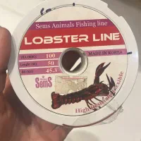 نخ ماهیگیری|ماهیگیری|اصفهان, نقش جهان|دیوار