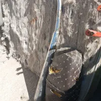 اگزوز وصندلی موتور