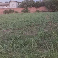 فروش یک قطعه زمین مسکونی به مساحت ۲۰۰ متر (۱۰×۲۰)