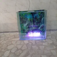 شیشه خمه آکواریوم همراه با متعلقات