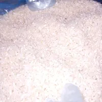 ۶ کیلو نیم دانه درشت هاشمی