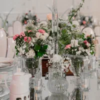 صندلی تالار یلدا|میز و صندلی غذاخوری|مراغه, |دیوار