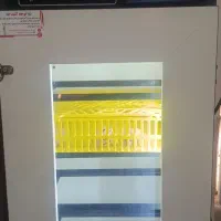 تخم مرغ|حیوانات مزرعه|خسروشاه, |دیوار