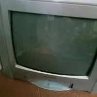 تلویزیون