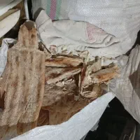 نان خشک