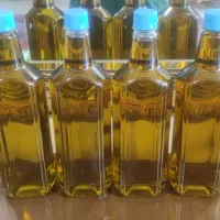 روغن زیتون درجه یک و خالص از باغ های رودبار