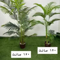 درخ چه|گل مصنوعی|تهران, مشیریه|دیوار