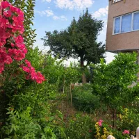 باغ ویلافوری فروش ویژه ۴۱۰۰م نقدتهاتر آپارتمان