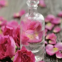 گروه درمانگران|گردهمایی و همایش|شیراز, بعثت|دیوار