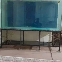 اکواریوم فروشی