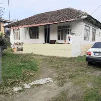 فروش زمین و خانه کلنگی با ۲۰۰نهال کیوی خونی|فروش خانه و ویلا|حویق, |دیوار