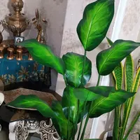 گل مصنوعی تزیینی|گل مصنوعی|اسلام‌شهر, |دیوار