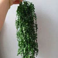 انواع ظروف آشپز خانه|ظروف سرو و پذیرایی|الیگودرز, |دیوار