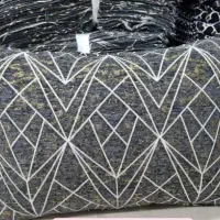 روپشتی دورو