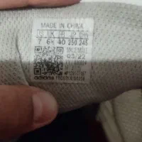 کفش کشتی|کیف، کفش، کمربند|صفادشت, |دیوار