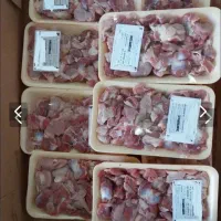 سنگدان منجمد