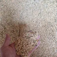 جو سهند