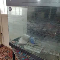حیوانات