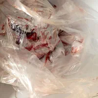 اشغال مرغ