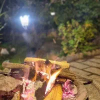 کارگر جگرکی بدون جای خواب