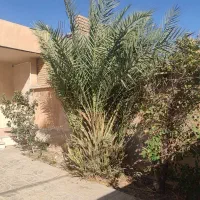 خانه ویلایی بزرگ و تمیز