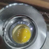 حدود ۵۰ تا هالوژن گرد و مربع استیل