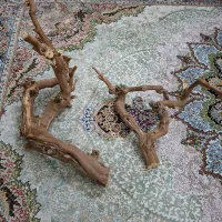 چوب طبیعی زینتی برای آکواریوم و قفس پرنده