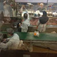 استخدام  منشی