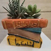 گل کاکتوس طرح کتاب|گل و گیاه طبیعی|تهران, توحید|دیوار