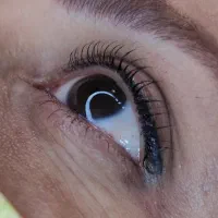 جشنواره اکستنشن مژه و لیفت ابرو و مژه به مدت محدود|خدمات آرایشگری و زیبایی|تهران, شهران جنوبی|دیوار