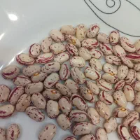 لوبیا چیتی|خوردنی و آشامیدنی|عجب شیر, |دیوار