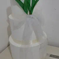 ماکت کیک