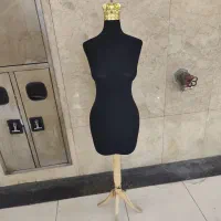 مانکن دبه ی با پایه طلایی و مشکی