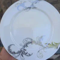 میوه خوری اصل ژاپن