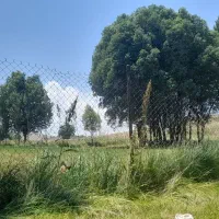 نیازمند-شرکت-هلدینگ-قوی-برای-اجرای-پروژه-ها
