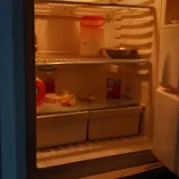 یخچال سهی سالم|یخچال و فریزر|جزنیک, |دیوار