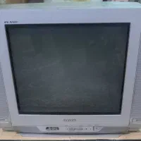 تلوزیون