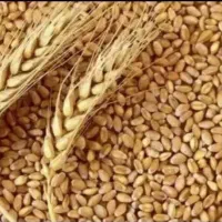 خوردنی آشامیدنی