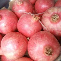 انار دونه قرمز درجه یک|خوردنی و آشامیدنی|شیراز, شریف‌آباد|دیوار