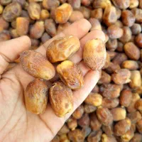 خرمای زاهدی با کیفیت