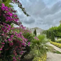 کد8-باغ-ویلای550متری-گرون-نخر-با10تاچک-بخر-نور