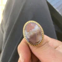 انگشتر شجر دریایی