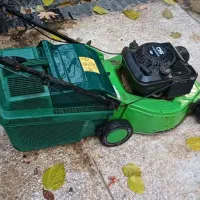 چمن زن المانی