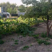 فروش-باغچه-در-روستای-حسن-آباد