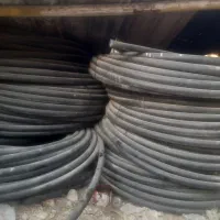 باغ بانی ساختمانی .شرکت