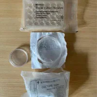 پلیت|خودرو کلاسیک|فومن, |دیوار