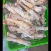 کله پاچه تازه وتمیز|خوردنی و آشامیدنی|شوشتر, |دیوار