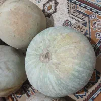کدو حلوایی