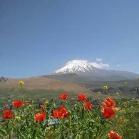 فروش زمین ۳۳۰ متری|فروش زمین و ملک کلنگی|رینه, |دیوار